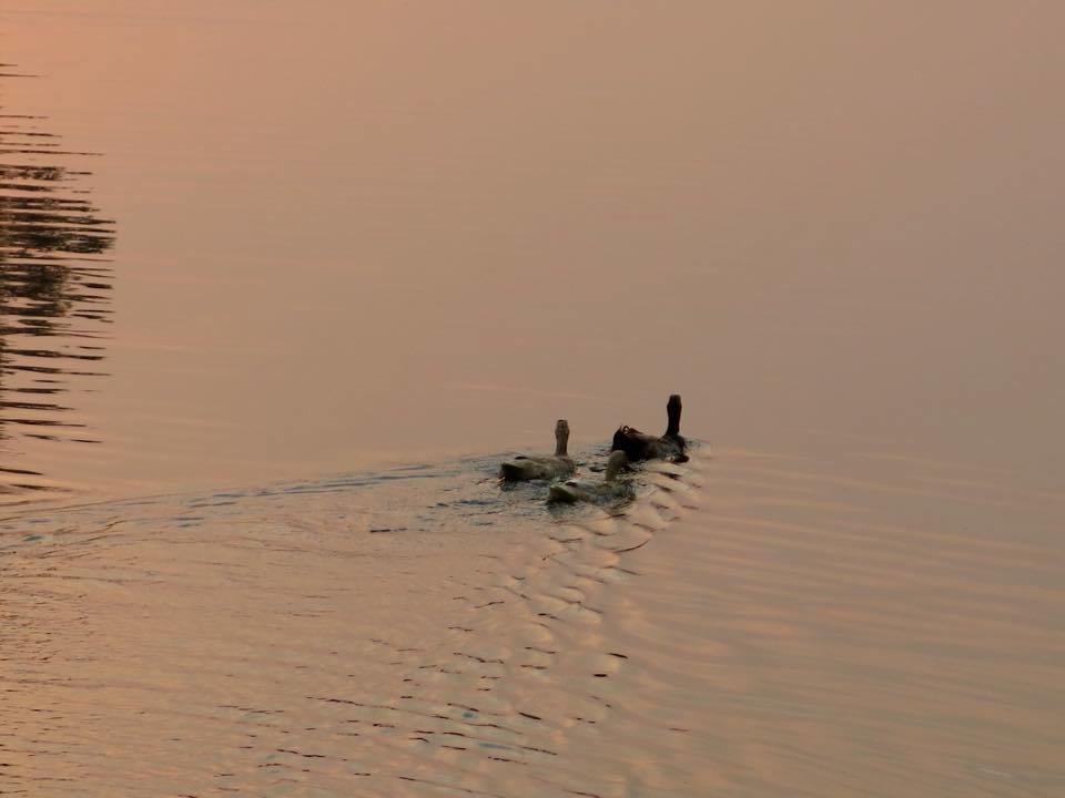Luvi Lucas River Side فيليغاما المظهر الخارجي الصورة